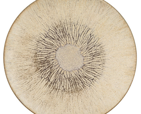 Assiette Plate Porcelaine Ø 27 Cm Siroko